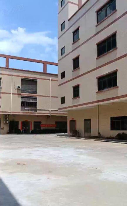 园洲镇原房东独院标准厂房出租仓库出租，空地大证件齐交通方便