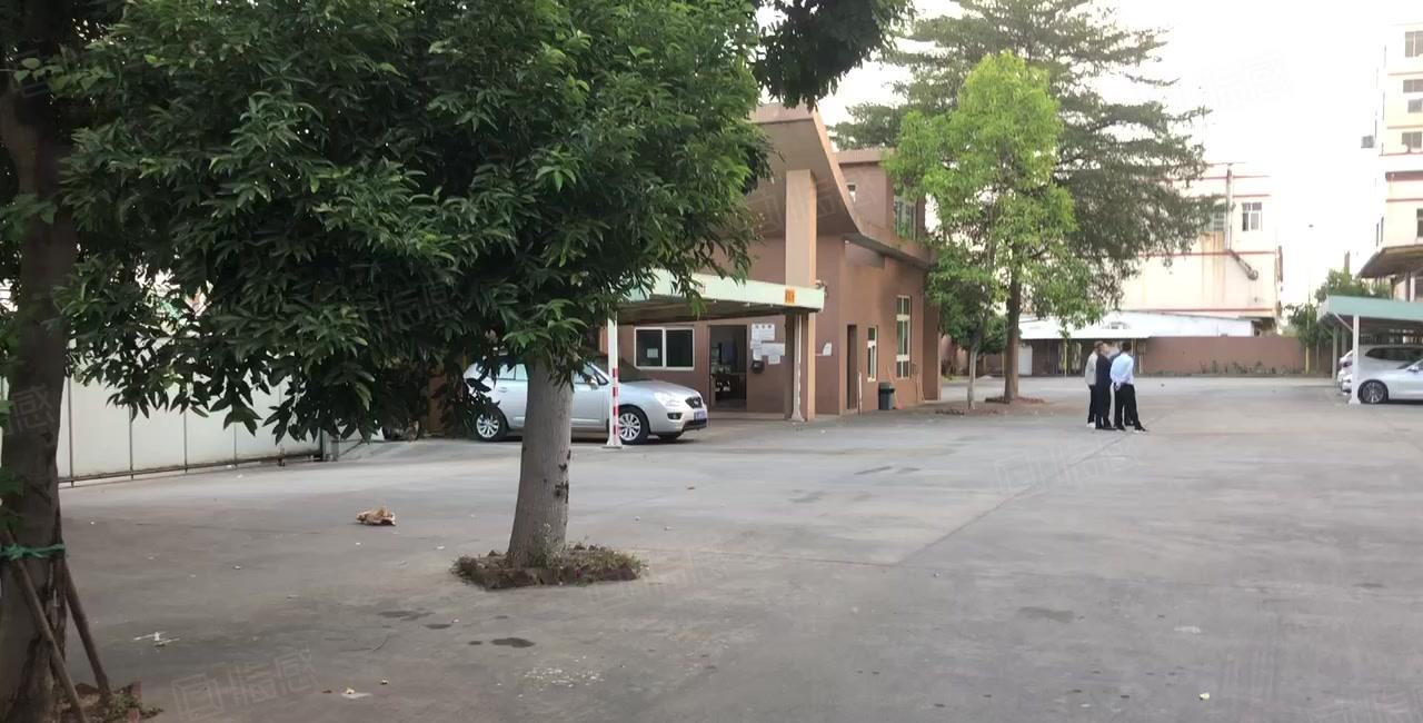 新出带红本大型工业标准厂房出租一楼六米高楼上5米周边配套齐全