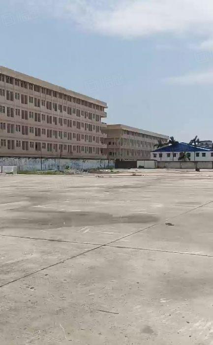 空地大厂房出租8000平惠州厂房出租龙溪厂房出租钢构厂房出租