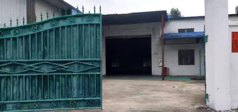 原房东低价出租园洲独门独户单层钢构1250平方证件齐全可分租