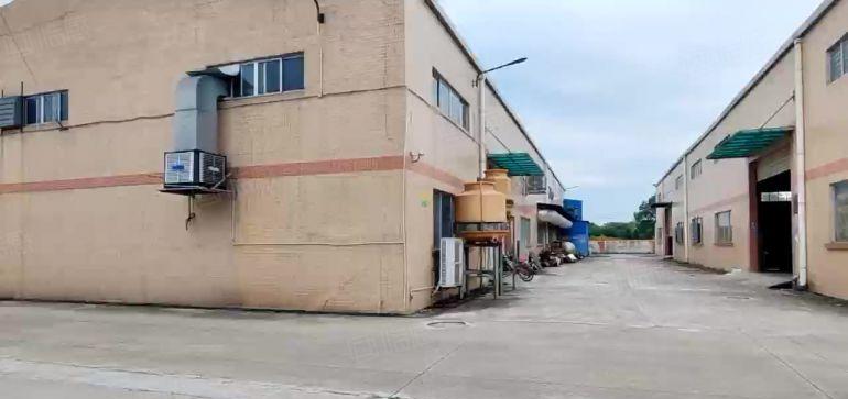园洲镇，独院单一层厂房3000平米，宿舍办公600平米出租