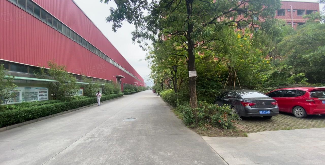 一千平起租 可办环评博罗8米原房东9千平独院钢构仓库厂房出租