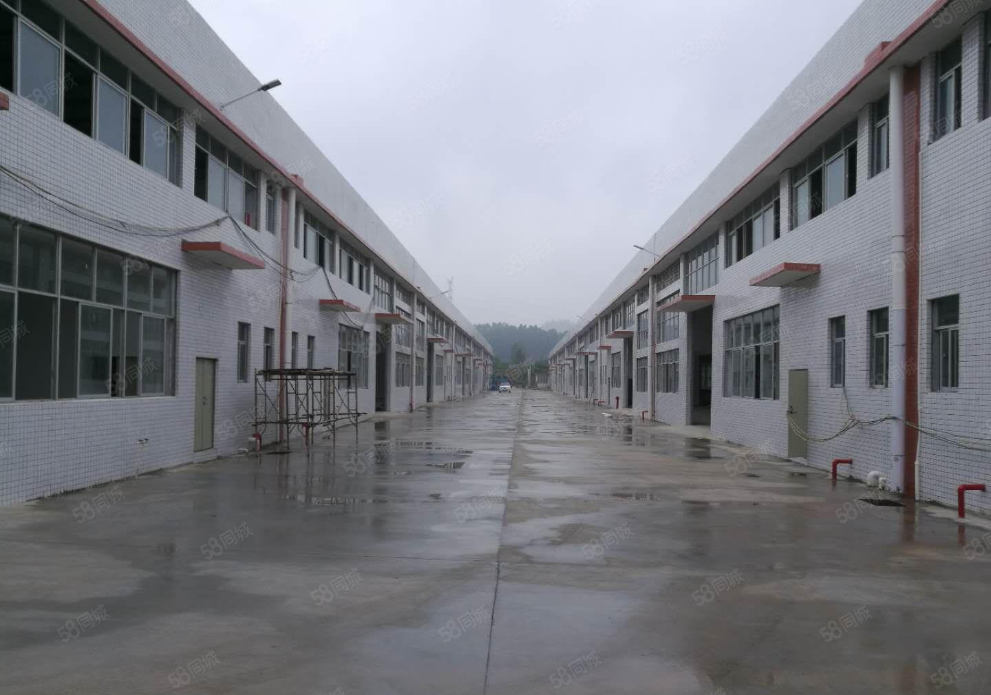 惠州市博罗县石湾镇大型工业园钢构厂房招租