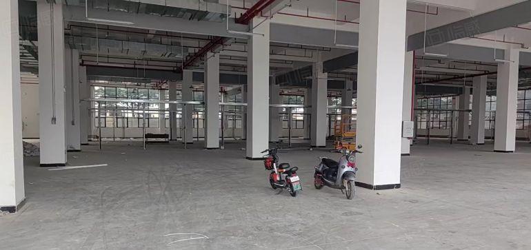龙溪全新厂房边 国道边 采光好 空间利用大无公摊