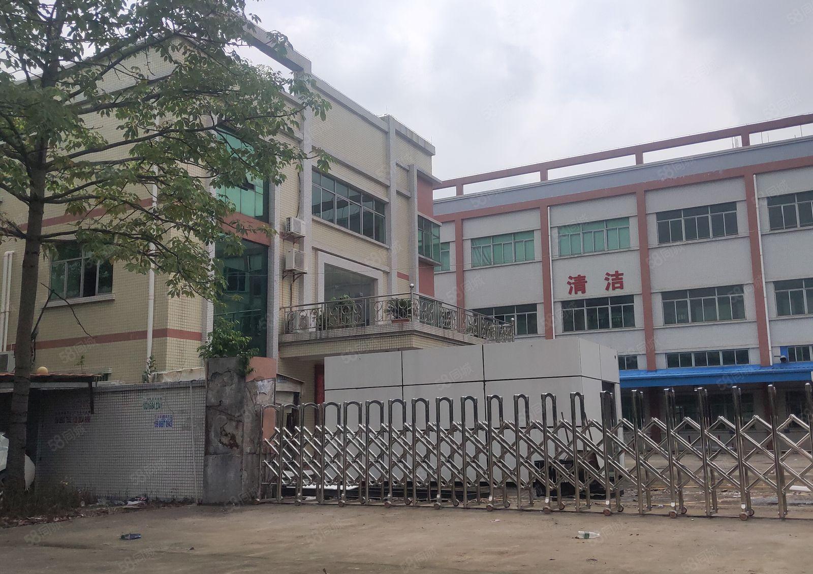 惠州市博罗县石湾镇科技园4800平方独户独门独院标准厂房出租