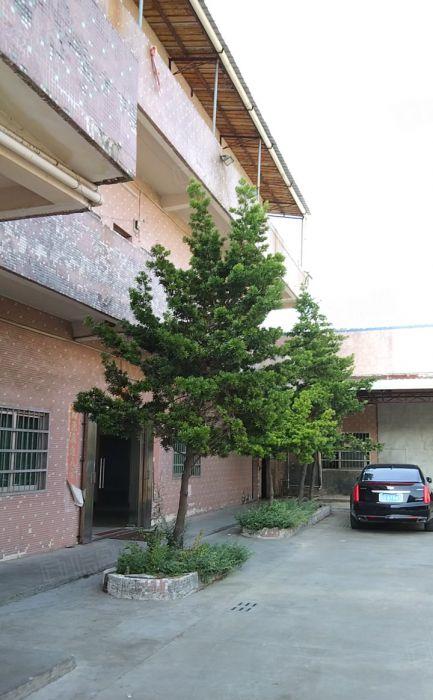 博罗县园洲镇低价厂房出租，单一层厂房3200平米，宿舍600