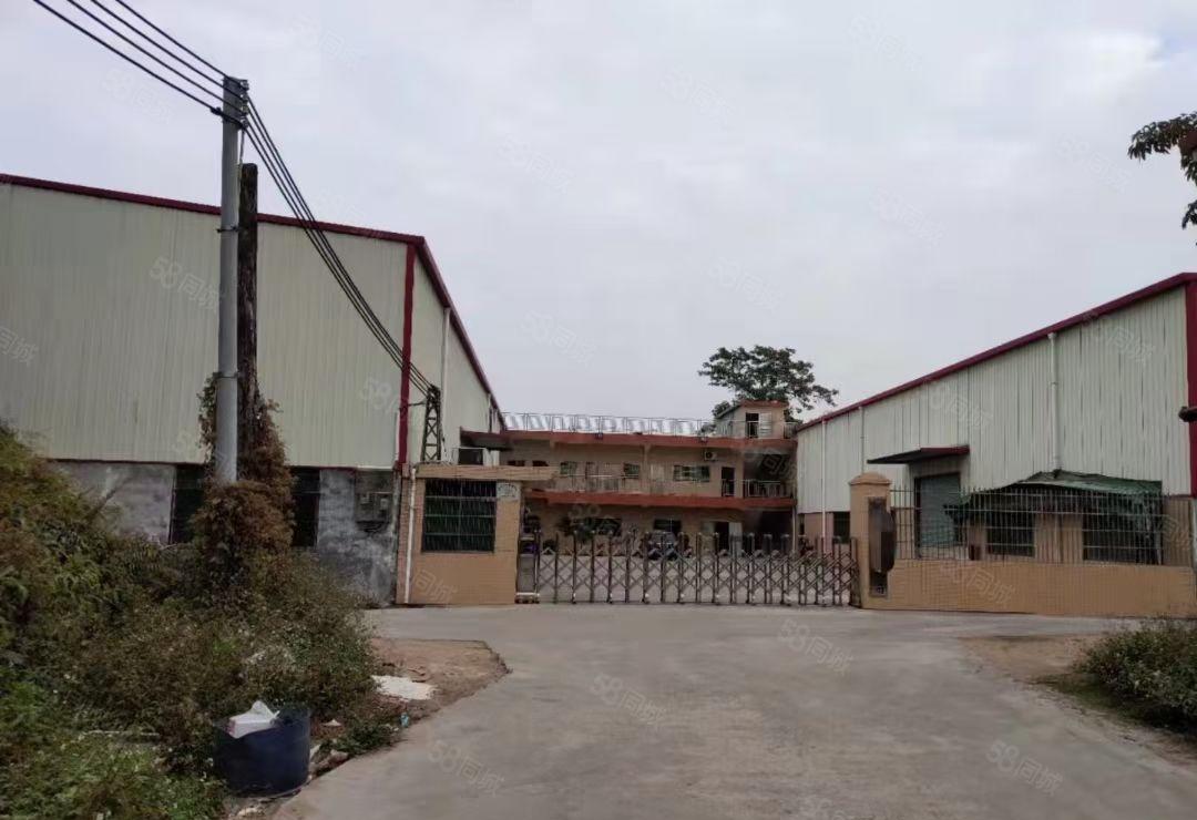 园洲全新独门独院单一层厂房出租