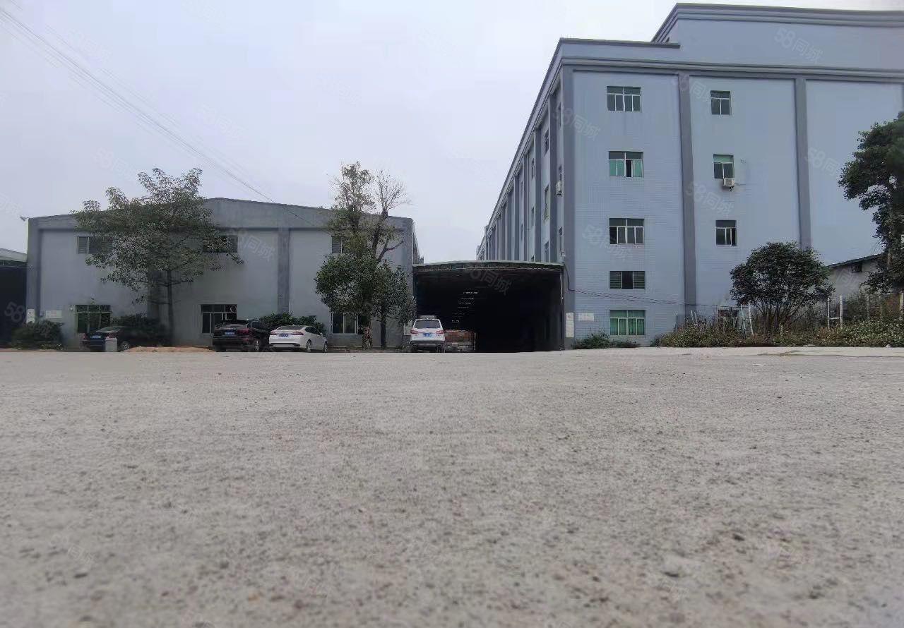 龙溪龙桥大道单一层加标准厂房24500平方出租