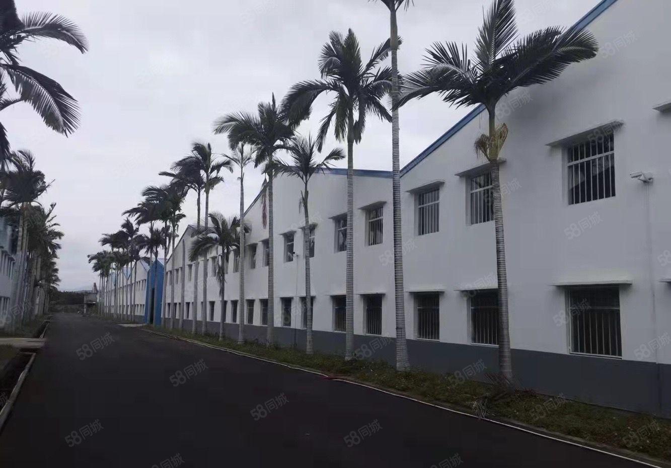 博罗湖镇新出单一层7万平方出租（1500平起，可隔独院）
