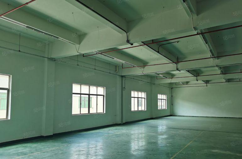 一手房东自建标准厂房，带货梯，手续齐全，交通方便