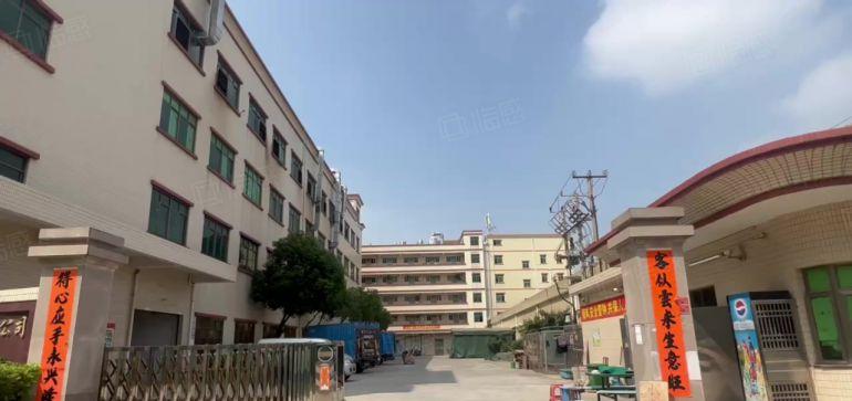 园洲！新出原房东！标准带喷淋！