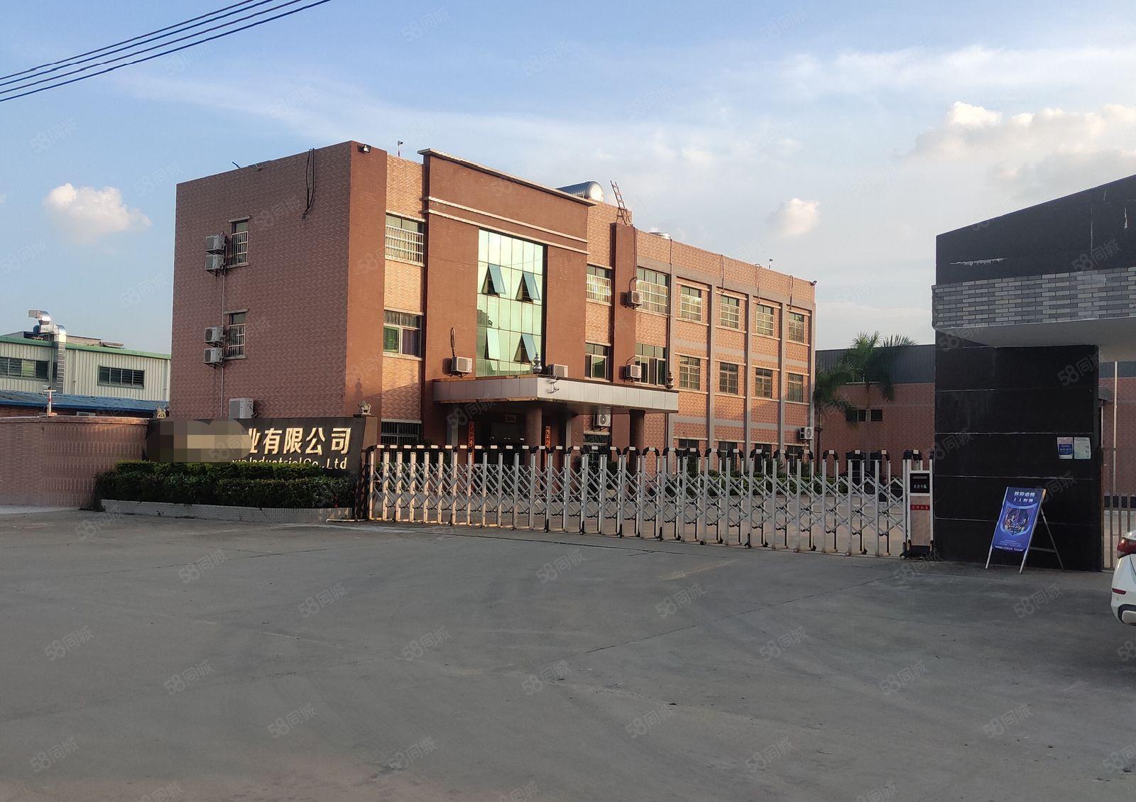 园洲镇原房东独院标准单一层钢构仓库厂房出租