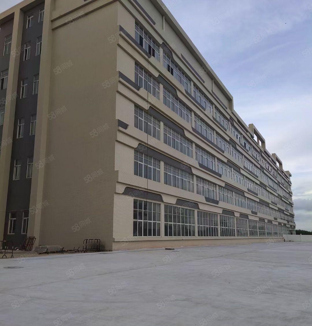 园洲工业区附近新出6880平方标准厂房出租，可以分租