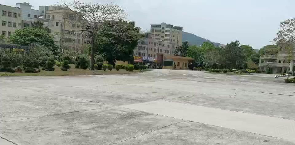 可分租博罗石湾里波水12000独门独院钢构厂房仓库出租大空地