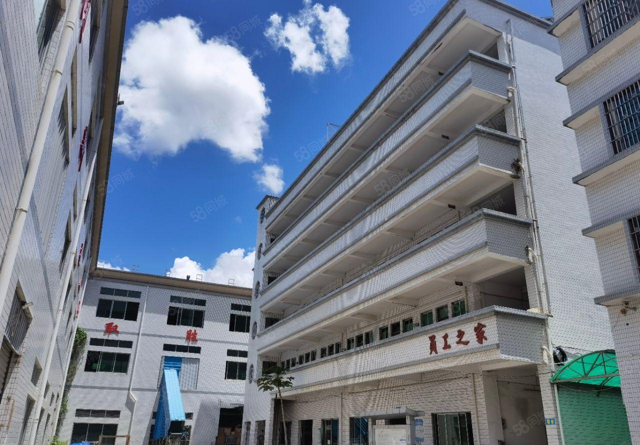 惠东吉隆主干道上整租10每平独门独院标准厂房