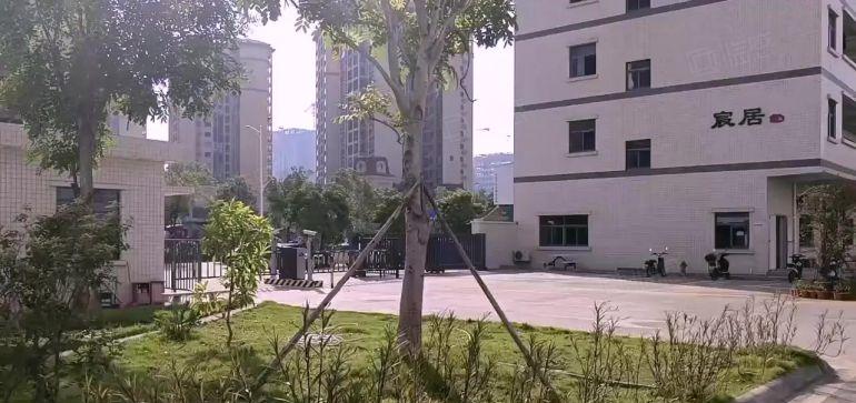 800平精装厂房，6元一平，原房东厂房仓库出租，高使用率