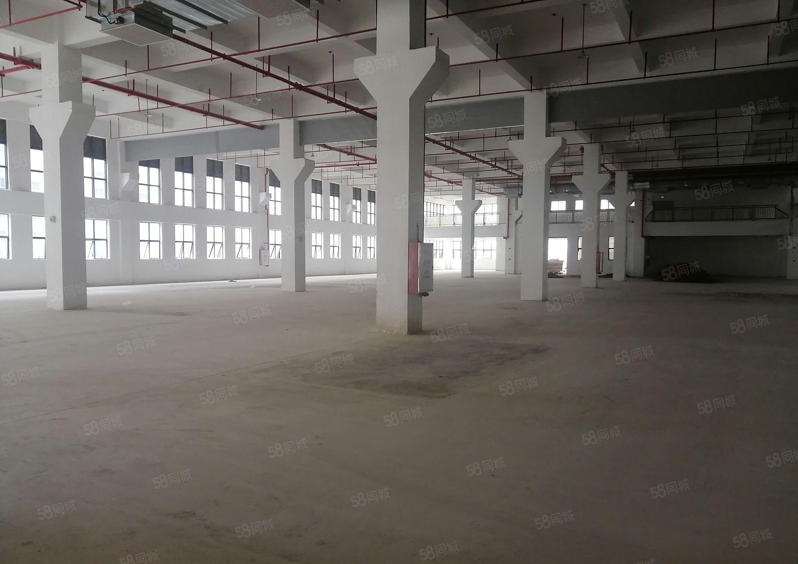 陈江全新500平起小面积厂房出租，证件齐全，带装修，可办环评