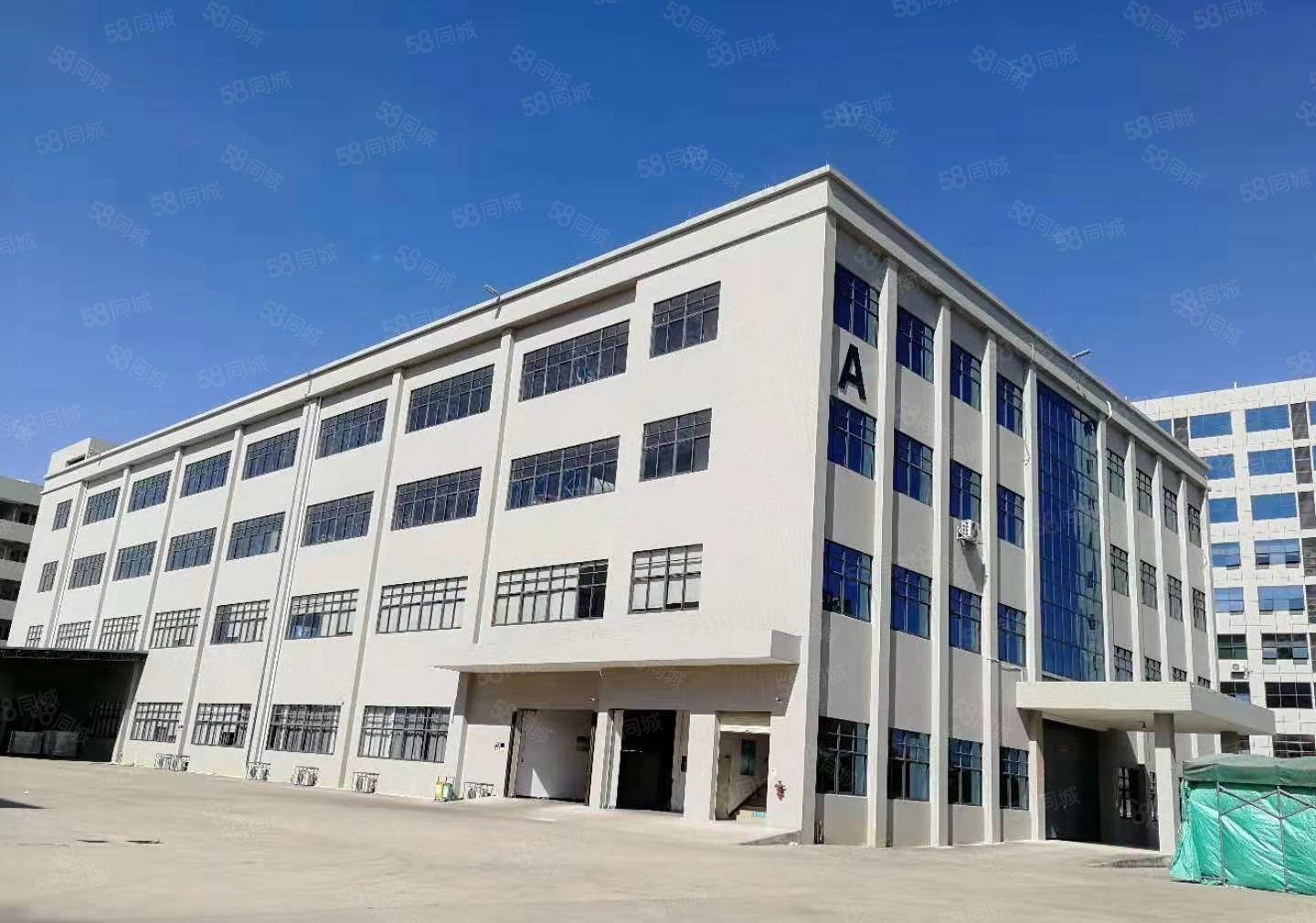 仲恺沥林新出原房东标准厂房出租大小可分
