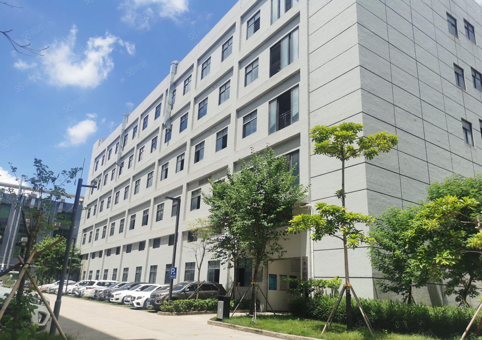 带装修厂房出租1200平方在平南工业区