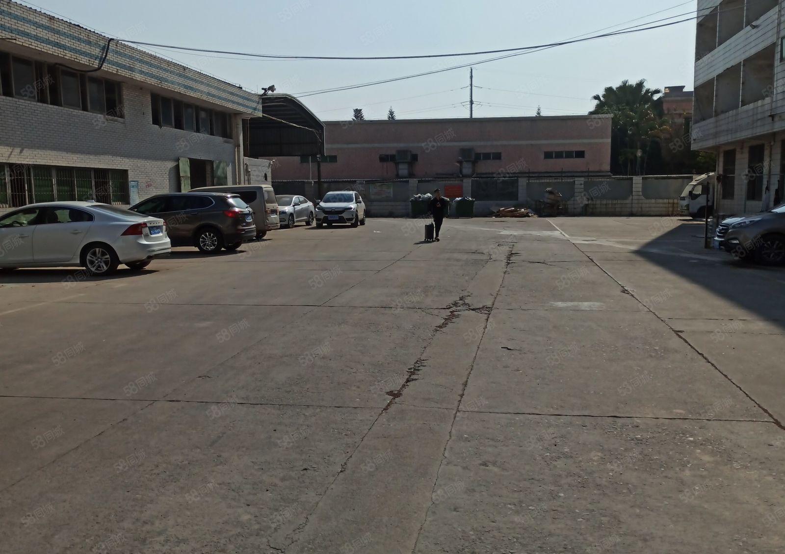 仲恺区单一层工业标准厂房4000平方招租大小好分租 园区C位