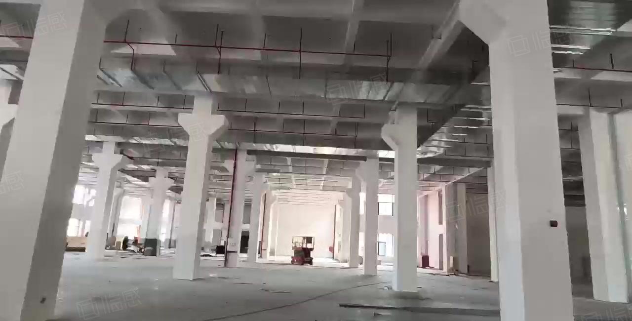 可分租！僮桥新出全新10万平方红本厂房出租！配套齐全，原房东