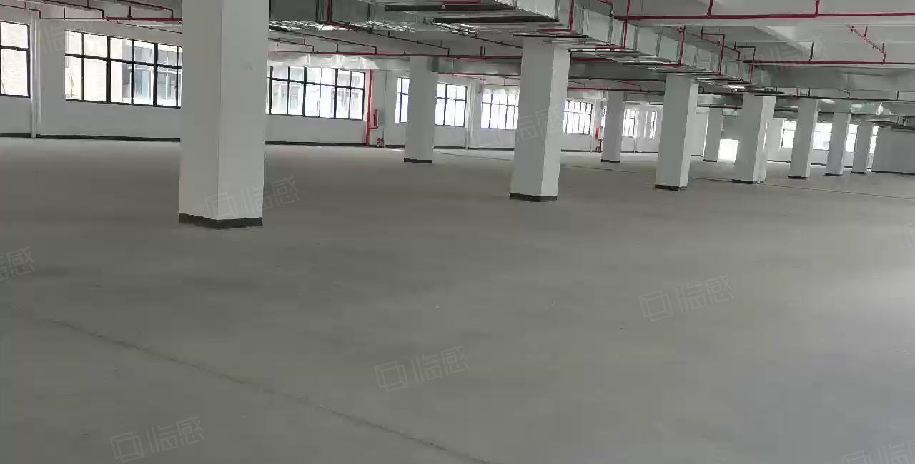 惠州仲恺高新区原房东全新厂房30000平米厂房出租可分租急租