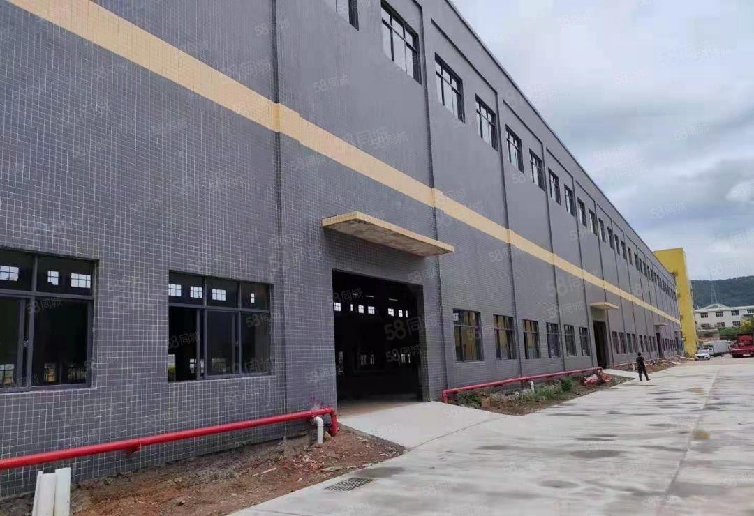 红本厂房仓库低价出租 滴水11米