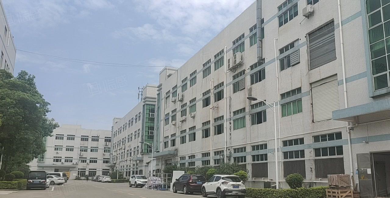沥林新出楼上2000平方带豪华装修，可拎包入住！交通便利！！