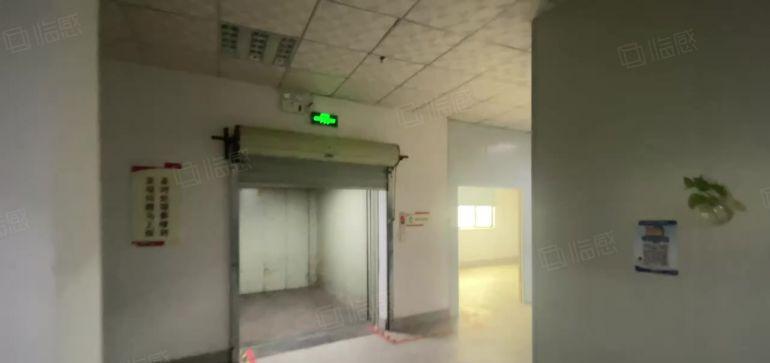 仲恺惠环平南工业区现成装修1000平方拎包入住五一惠台仓库