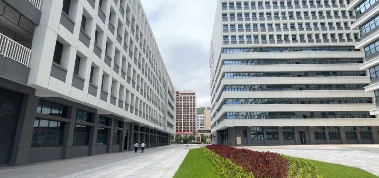 6块惠州仲恺全新红本厂房出租1000平起租可分租仓库带平台