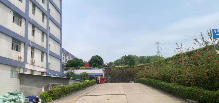仲恺沥淋精装修2000平仓库厂房出租一楼6米200起分租合租