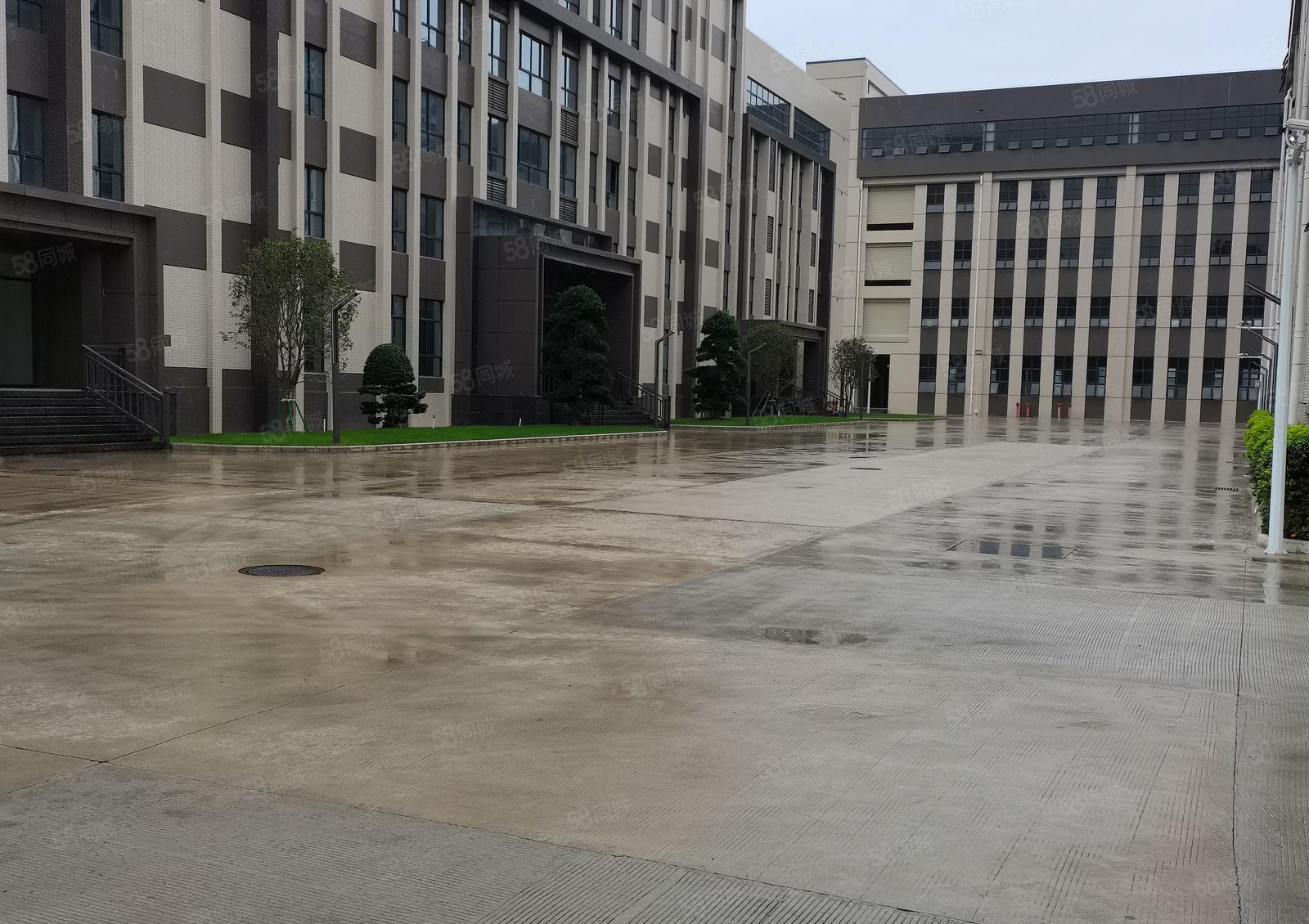 惠州仲恺高新区原房东全新厂房30000平米厂房出租可分租急租