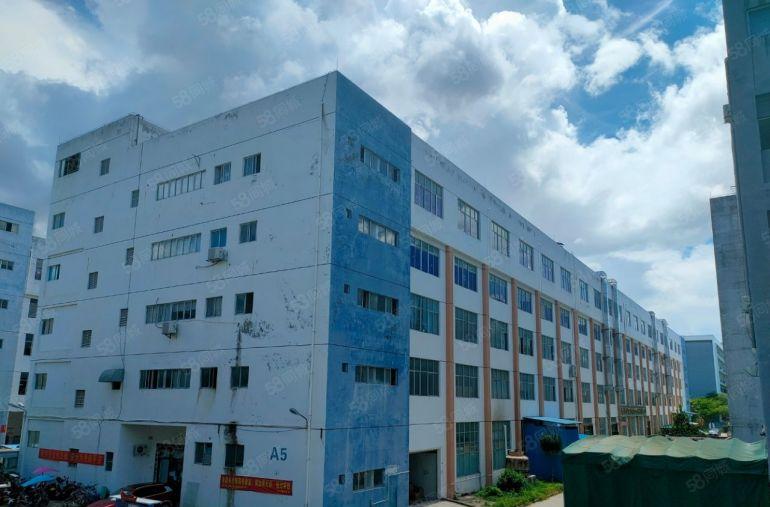 深圳市葵涌街道原房东红本独院厂房两栋共5万平，空地大，形象好