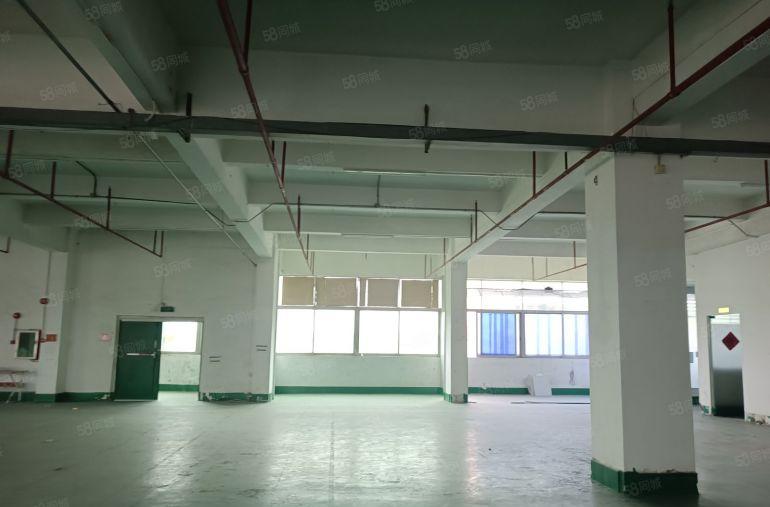 南城车站附近1200方厂房仓库写字楼低价出租