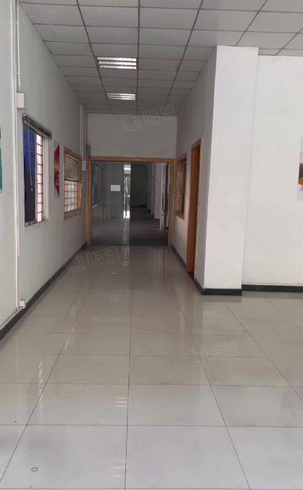 南城白马新空小面积一楼320平，带办公室宿舍