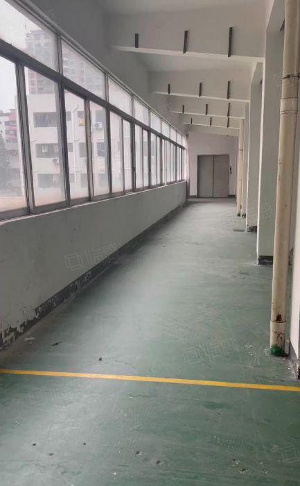 厂房出租！东城柏洲边一楼厂房710平，可做水果生鲜配送，仓库