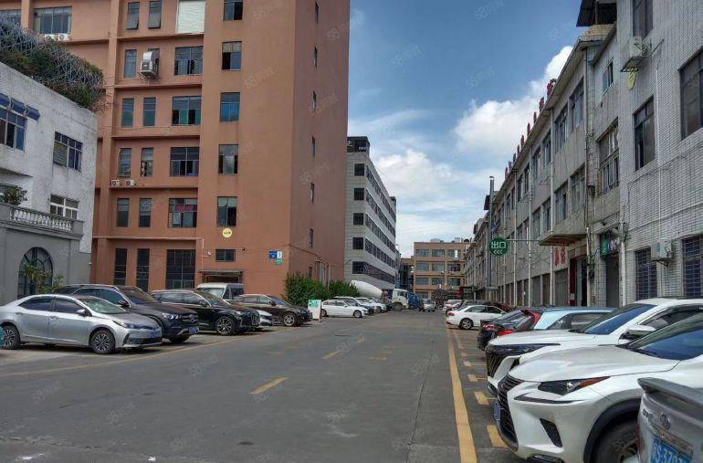 虎门原房东低价厂房出租特殊行业看过来带环评厂房