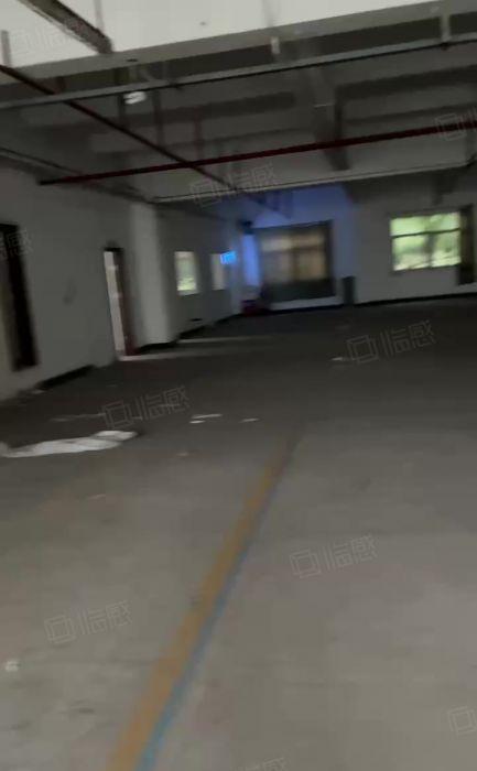 虎门赤岗新出独门独院2280平大园区靓厂房
