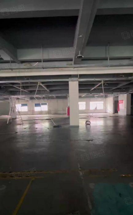 长安乌沙空出1楼2930平方，离深圳一桥之隔