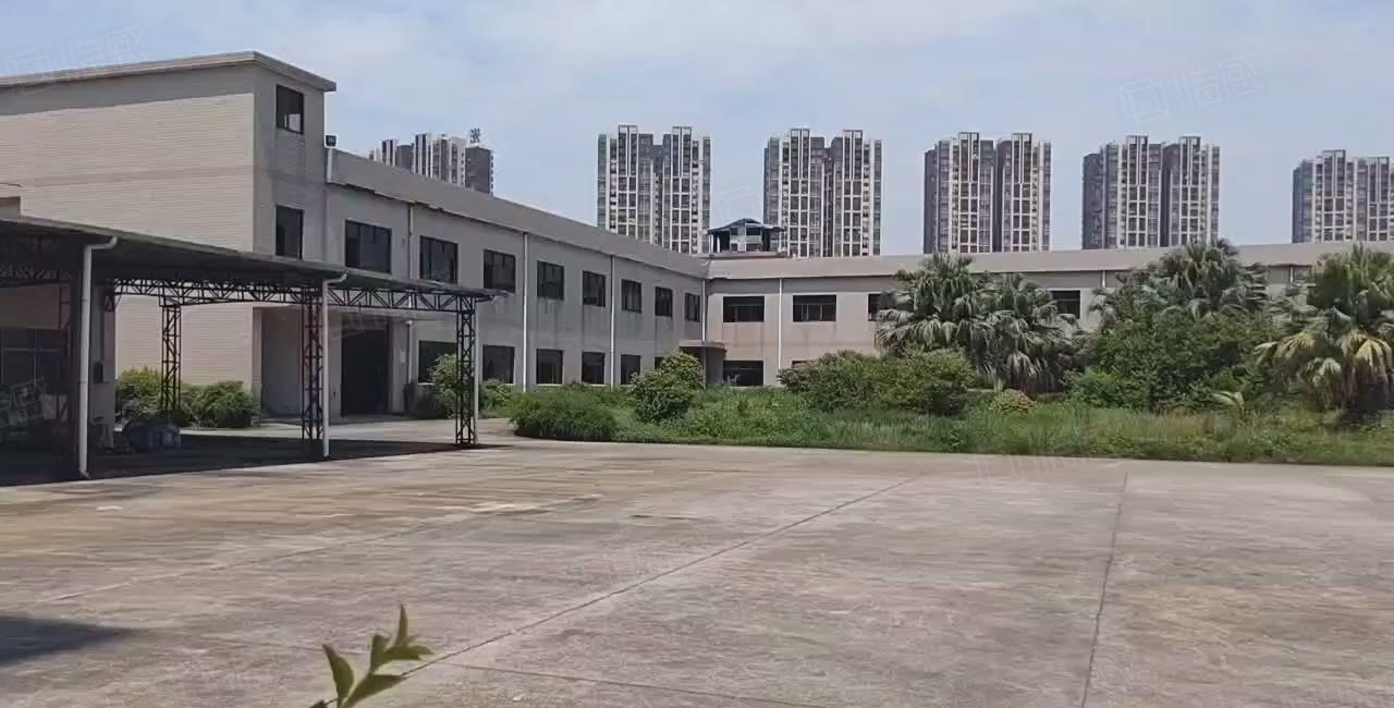 常平靠横沥原房东个人标准独门独院2层低价厂房出租12000平