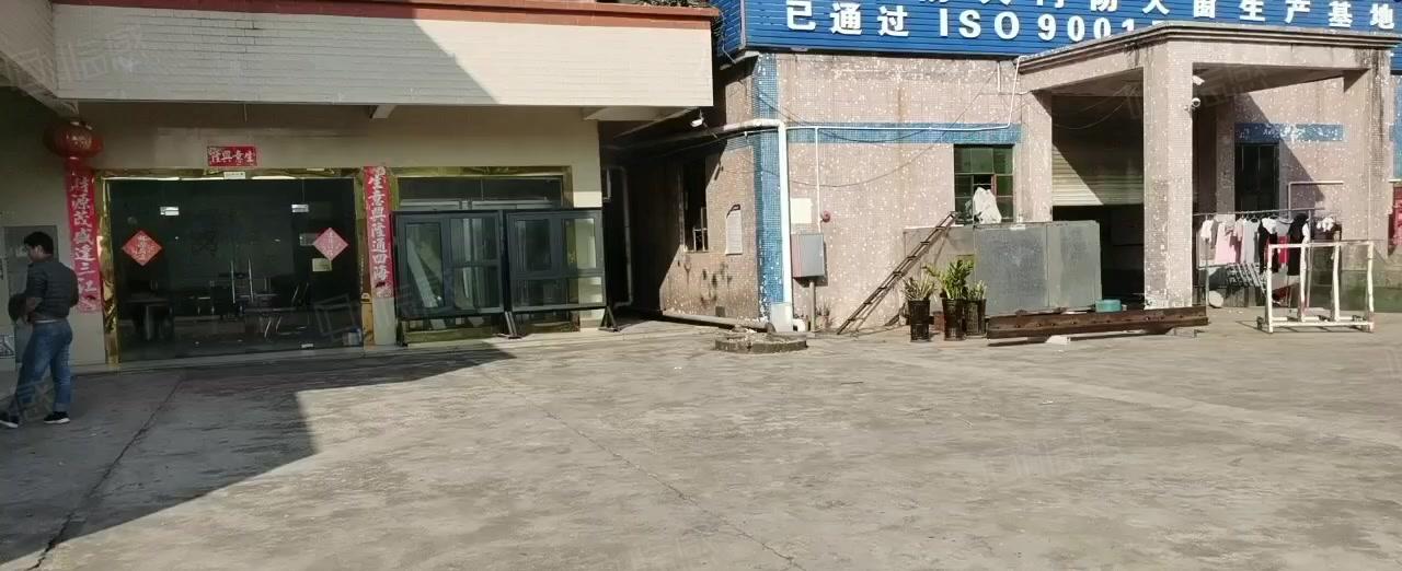 常平上坑单一层钢构独院厂房出租低价滴水8米2500平方无居民