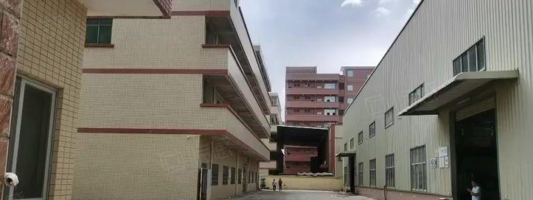 常平个人原房东小独院单一层钢构低价一楼厂房仓库出租3000平