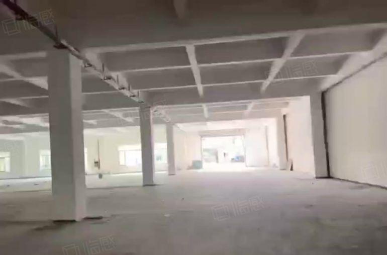 厚街莞太路旁全新一楼2000平标准厂房出租 带红本带消防喷淋