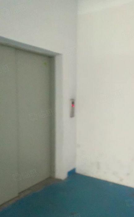 宝屯小面积250平两吨电梯两卫生间