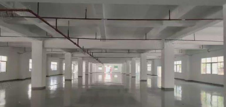 厚街沙塘一楼1800平厂房出租 现成地坪漆 空地大 交通便利