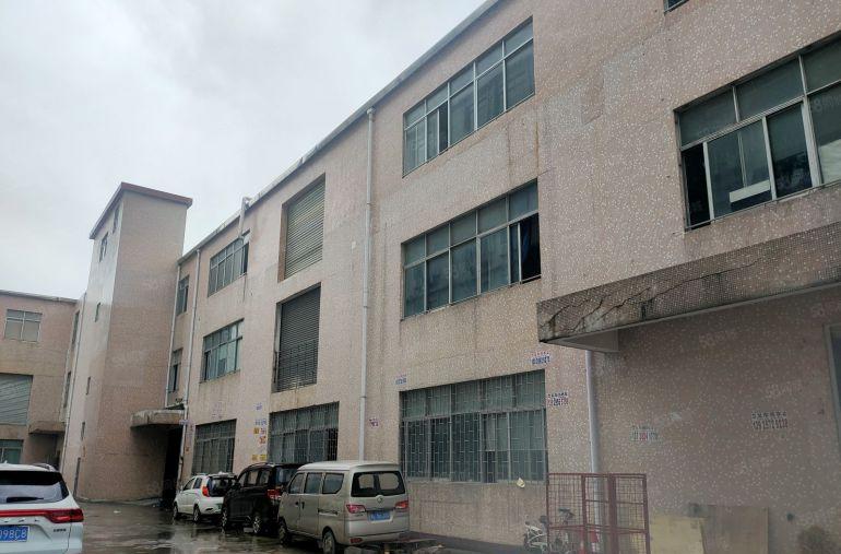 原房东 塘厦一楼500平精装修水电办公室厂房出租 拎包入驻