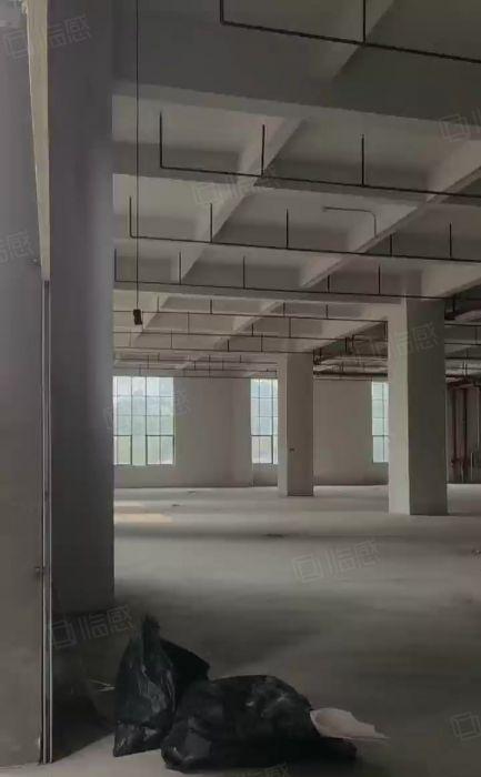 塘厦大坪工业园一楼高度6米厂房低价出租主线到车间形象好空地大