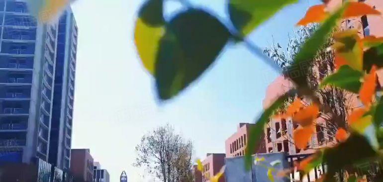 东莞塘厦塘厦镇35万平产业园招商