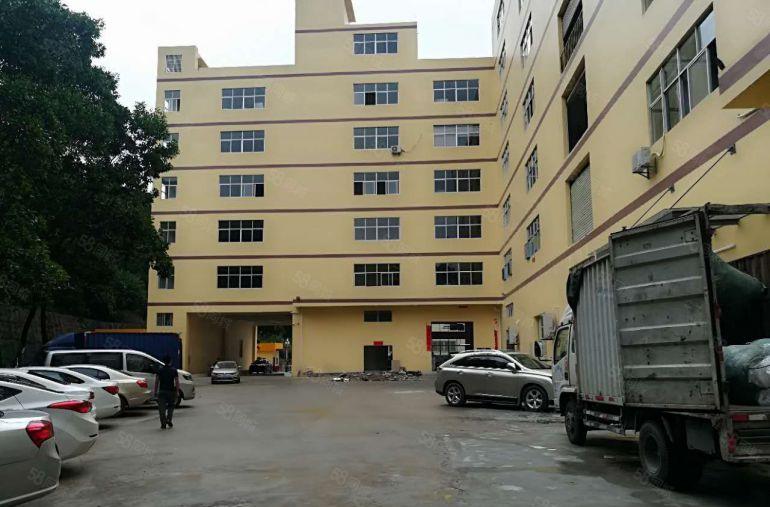 塘厦大坪工业区2000平方原房东仓库厂房出租500平方起分租