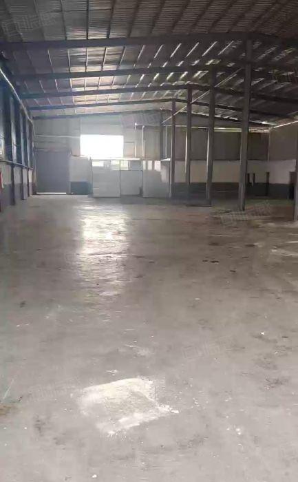 寮步原房东单一层全新独院1500平低价出租